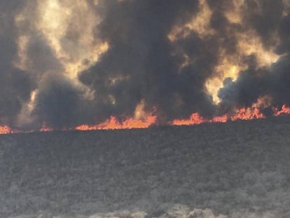 Incendios forestales en las proximidades de San José de Chiquitos, en Santa Cruz. En vídeo, el cruce de acusaciones sobre la gestión de la crisis.