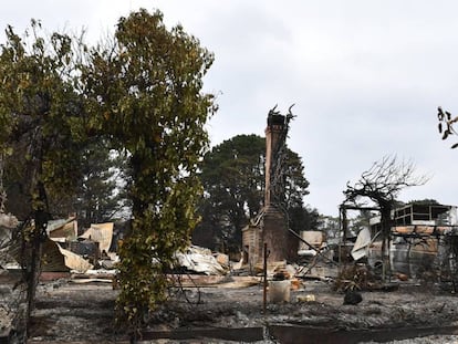 Los restos quemados de una vivienda se podían observar este lunes en Wingello, a 160 kilómetros al sur de Sídney. En vídeo, las aseguradoras estiman en más de 400 millones de euros los daños causados por los incendios en Australia.
