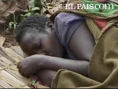 La investigación ha sido dirigida por el español Pedro Alonso