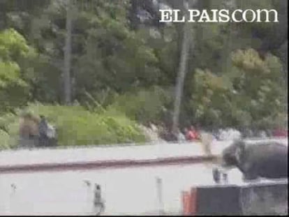 El animal, enfurecido, destrozó todo a su paso