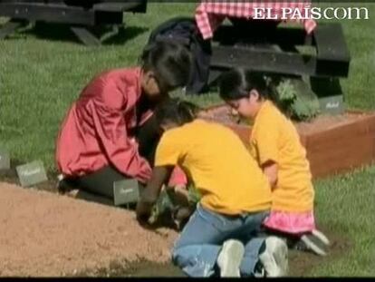 Michelle Obama ha decidido reconvertir parte del jardín de la Casa Blanca en huerto. En 100 metros cuadrados ha plantado lechugas, espinacas, orégano y guisantes. Lo ha hecho con la ayuda de niños de primaria de un colegio en Washington. Pero no es la primera dama que aprovecha los metros cuadrados que rodean a la Casa Blanca. La primera en hacerlo fue la esposa de Roosvelt. Claro que corrían malos tiempos. Fue después de la Segunda Guerra Mundial cuando decidió plantar árboles frutales y verduras.