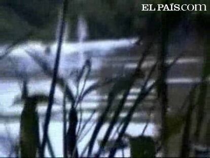 El ejército colombiano ha difundido imágenes de uno de sus ataques contra la FARC. No dan tregua a cinco rebeldes que iban a entregar armas a la guerrilla. Un material que, por cierto, traían de Venezuela. Les ametrallaron, su barca ardió y acabaron muriendo.