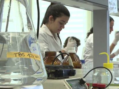 América Latina, donde abundan los empresarios y escasean los innovadores