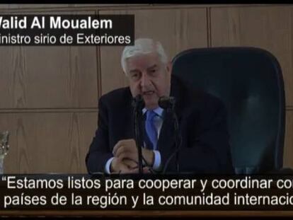El Gobierno sirio ofrece su ayuda para combatir al EI.