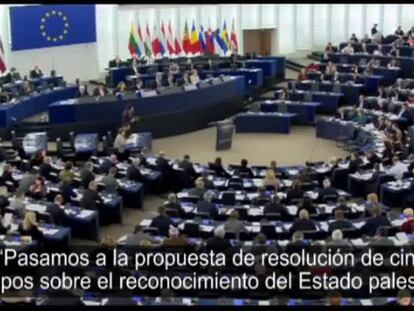 La Eurocámara vota a favor de reconocer el Estado Palestino
