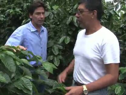 Pequeños agricultores de América Latina llegan a Wall Street