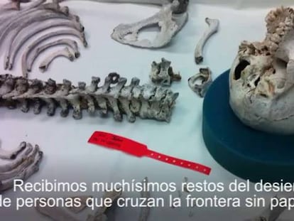 La identificación de cadáveres de inmigrantes en Tucson.