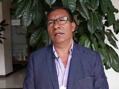 La explotación forestal es una importante fuente de ingresos para Oaxaca (México).