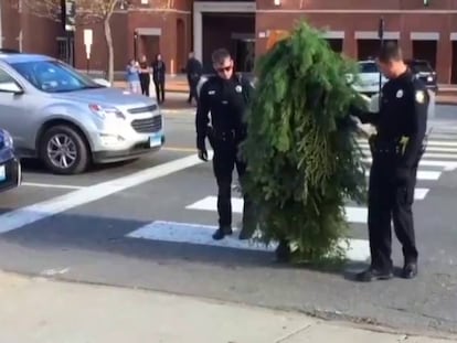 ¡Alto, policía. No se mueva, hombre árbol!