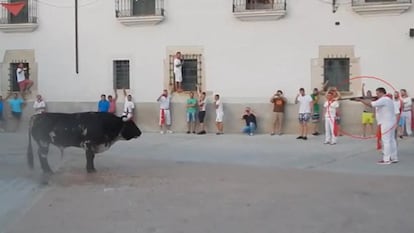 El sacrificio de un animal con un disparo de escopeta.