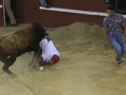 Un toro embiste a un hombre en el encierro de San Roque (Cádiz).