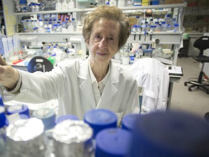 Margarita Salas: “Un Ministerio de Ciencia es esencial”