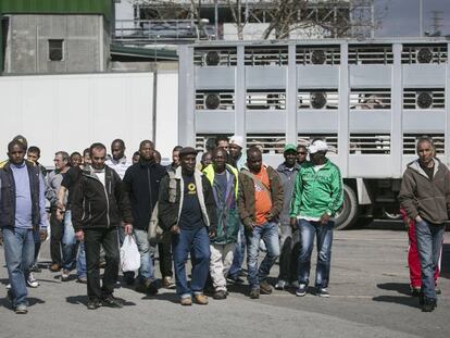 Trabajadores de un matadero de Vic. Foto y vídeo: M. Minocri