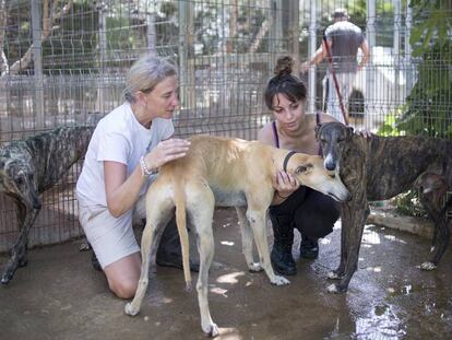 Dos voluntarias del Refugio-Escuela Sofía atienden a tres perros.