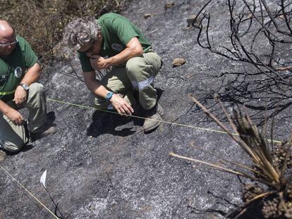 Agentes estudian las causas del fuego originado el pasado miércoles en San Roque.