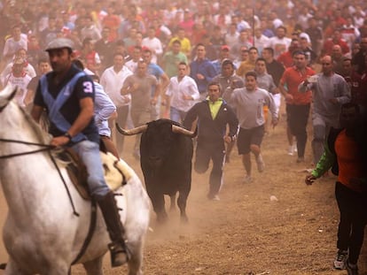 'Pelado' durante el recorrido del Toro de la Peña.