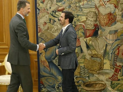 Felipe VI recibe al coordinador federal de IU Alberto Garzón.