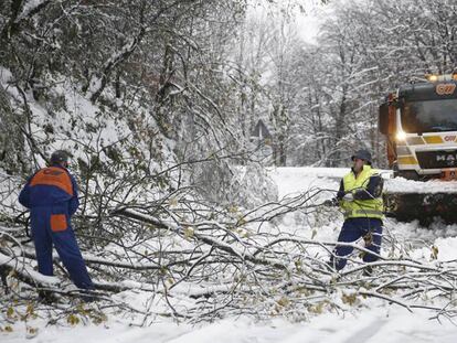 Operarios del Servicio de Conservación de Carreteras cortan las ramas en Navarra. JESÚS DIGES EFE