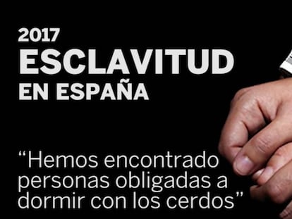 “Hemos encontrado a personas obligadas a dormir con los cerdos”