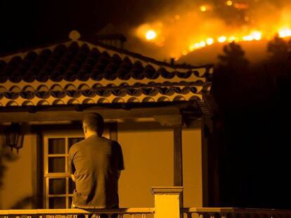 FOTO: Incendio en La Palma, en el verano de 2016. / VÍDEO: Vista aérea de la zona calcinada por el incendio en La Palma, el pasado agosto.