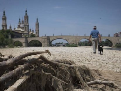 El río Ebro, a su paso por Zaragoza, este junio.