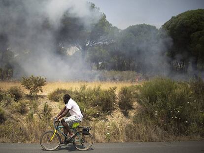 Un hombre circula en bicicleta, junto al incendio forestal de Doñana. En vídeo, declaraciones este lunes de la Presidenta de la Junta de Andalucía.