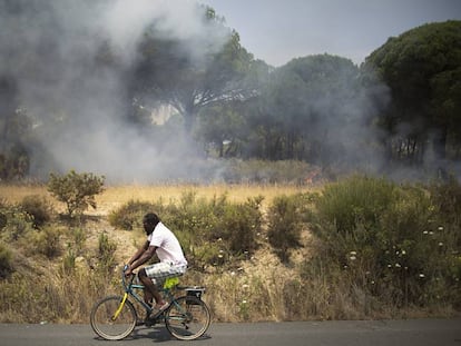 Un hombre circula en bicicleta, junto al incendio forestal de Doñana. En vídeo, declaraciones este lunes de la Presidenta de la Junta de Andalucía.