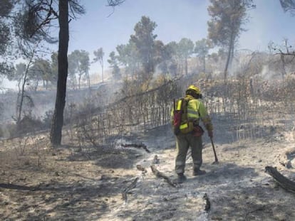 Incendio de La Calderona, en junio de 2017.