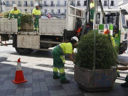 Operarios del Ayuntamiento de Madrid colocan jardineras esta mañana en la Calle de Montera.