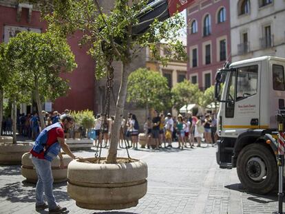 Operarios del Ayuntamiento de Sevilla colocan grandes maceteros en las zonas turísticas de la ciudad.