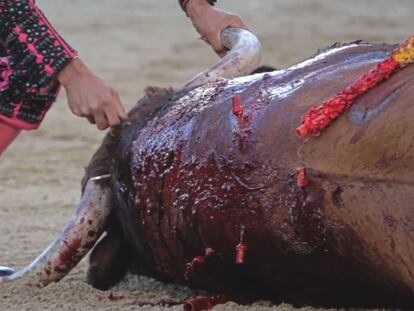 Fragmento del documental 'Tauromaquia', dirigido por Jaime Alekos