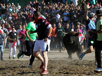 Festejo del Toro de la Vega este martes en Tordesillas.