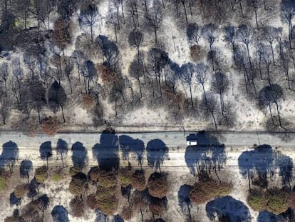 Vista aérea de Doñana dos meses después del incendio.