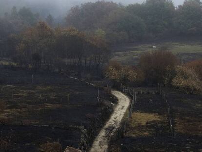 El paisaje después del incendio en As Fermosas, en Ourense.