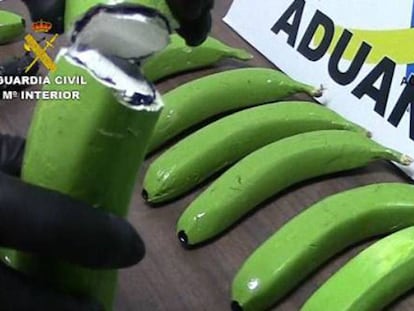 La cocaína camuflada en el interior del cargamento de bananas procedente de Colombia.