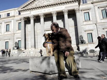 Un perro pasea con su dueño ante el Congreso de los Diputados.