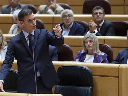 Pedro Sánchez, durante su compareciencia en el Senado. En vídeo, Pedro Sánchez da su apoyo a Carmen Montón a la salida de la cámara alta.