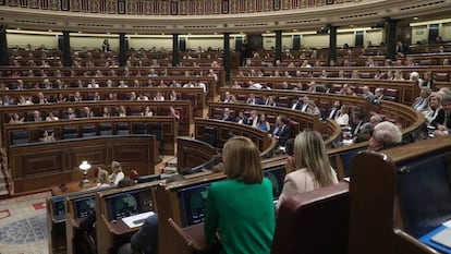 Pleno del Congreso de los Diputados. Foto: Uly Martín.