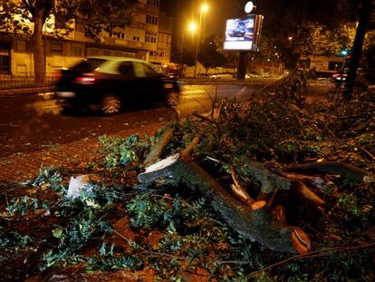 Ramas de árboles caídas por Leslie en Lisboa.