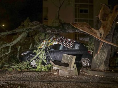 Un coche dañado por un árbol en Coimbra (Portugal) tras el paso de Leslie. En vídeo, previsión de los efectos del huracán.