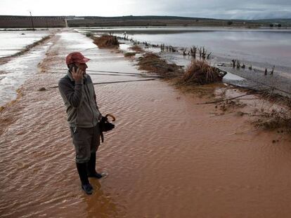 Un vecino observa los campos anegados de agua en las afueras de la localidad malagueña de Sierra de Yeguas / En vídeo, las imágenes grabadas por los afectados en Campillos, Málaga (QUALITY)