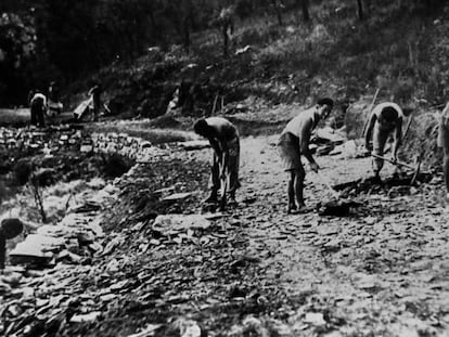 Refugiados republicanos españoles construyen una carretera en Argelés-Sur-Mer en marzo de 1941. En vídeo, los testimonios de Rosy Gómez y Antoine Parra.