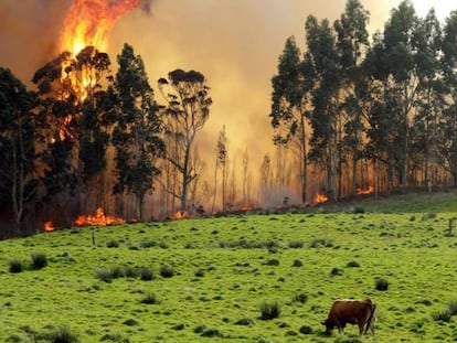 Incendio en las proximidades de Naves (Llanes), este lunes. / En vídeo, el viento dificulta la extinción de los incendios en Asturias.