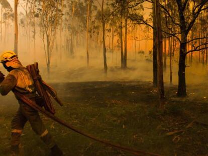 Imagen de archivo de un incendio en Galicia el pasado verano. En vídeo, el fuego ya ha arrasado 550 hectáreas en Rianxo.