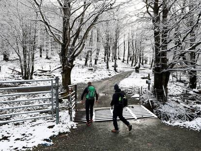 Dos personas caminan por el puerto de Belate, en Navarra, donde las nevadas de esta madrugada han dejado sus montes cubiertos de nieve.