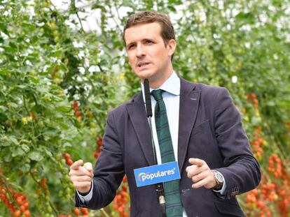 El presidente del PP, Pablo Casado, en un acto en Almería. En vídeo, sus declaraciones sobre "las manos manchadas de sangre".