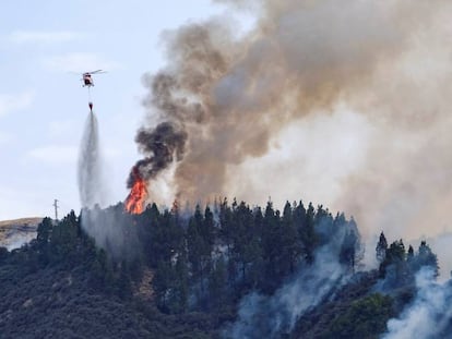 Vista del incendio en Valleseco, este sábado.