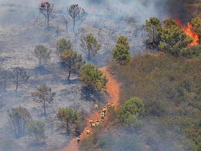 Varios bomberos suben una montaña en Estepona, este lunes.