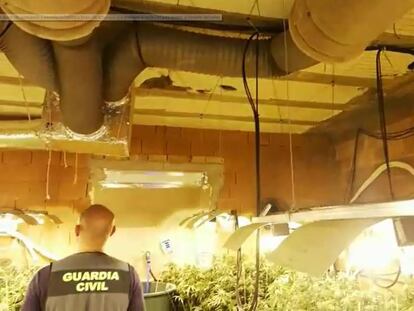 Una de las plantaciones de marihuana en las que la Guardia Civil ha decomisado aparatos de aire acondicionado. En vídeo, un agente muestra los aparatos requisados.