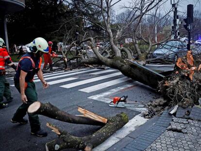 Unos bomberos retiran un árbol caído por el fuerte viento en San Sebastián, este viernes. En vídeo, imágenes del temporal.
